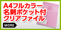 A4フルカラー名刺ポケット付きクリアファイル